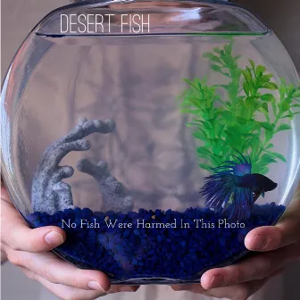 No Fish Were Harmed In This Photo (Acoustic) by Desert Fish