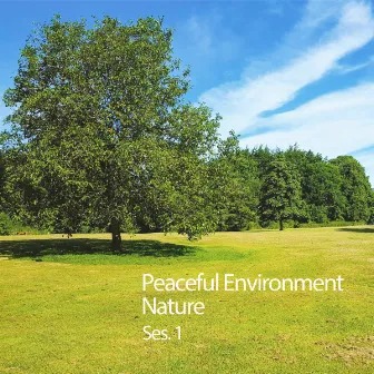 Peaceful Environment Nature Ses. 1 by Binaural Moods