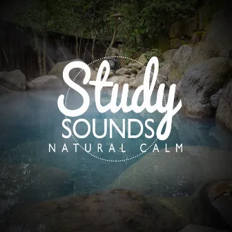 Study Sounds: Natural Calm by Exam Study Nature Music Nature Sounds