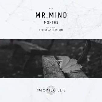 Months by Mr.Mind