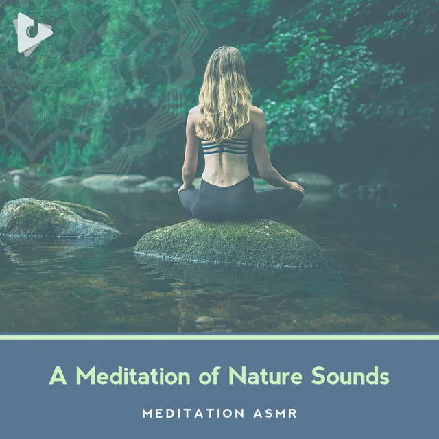 Zen Music Sessions