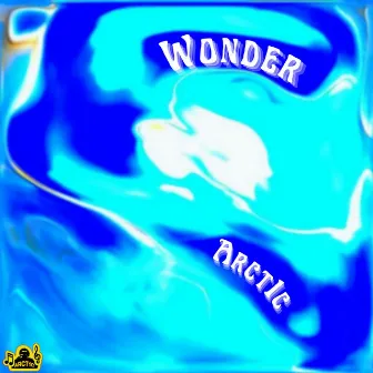 Wonder by Arct1c