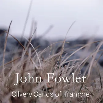 Silvery Sands of Tramore by John Fowler