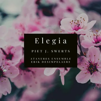 Elegia by Piet J. Swerts