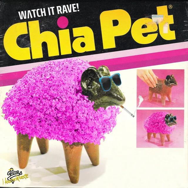 Chia Pet