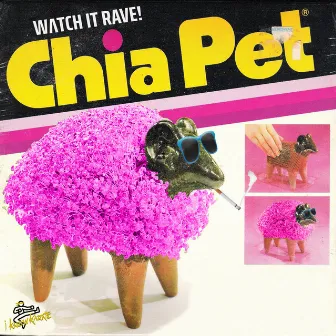 Chia Pet by I Know Karate