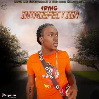 Introspection by 1BYNG