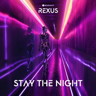 Stay The Night by Rexus