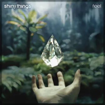 feel by shiny things