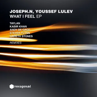 What I Feel by Youssef Lulev