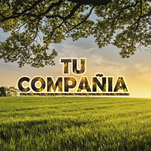 Tu Compañia