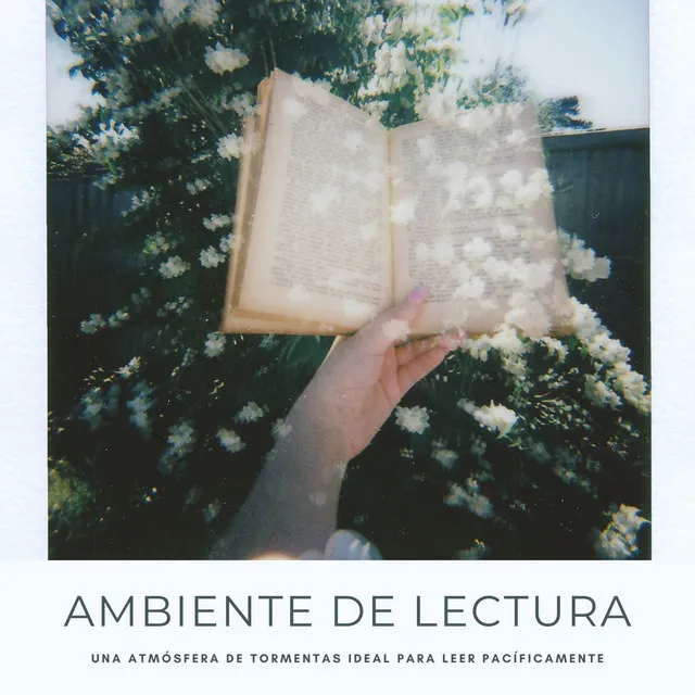 Ambiente De Lectura: Una Atmósfera De Tormentas Ideal Para Leer Pacíficamente