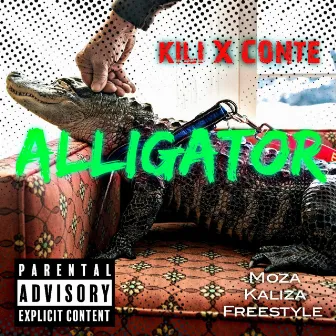 Alligator (Moza Kaliza Freestyle) by Conte