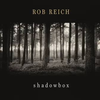 Shadowbox by Rob Reich