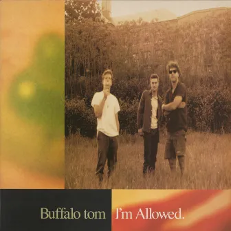 I'm Allowed by Buffalo Tom