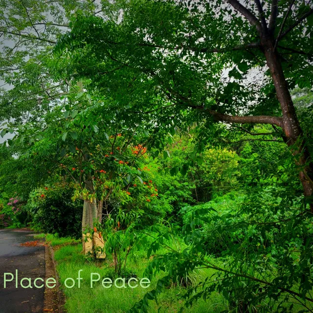 Place Of Peace