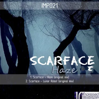 Haze by Scarface