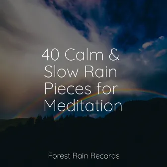 40 Calm & Slow Rain Pieces for Meditation by Unknown Artist