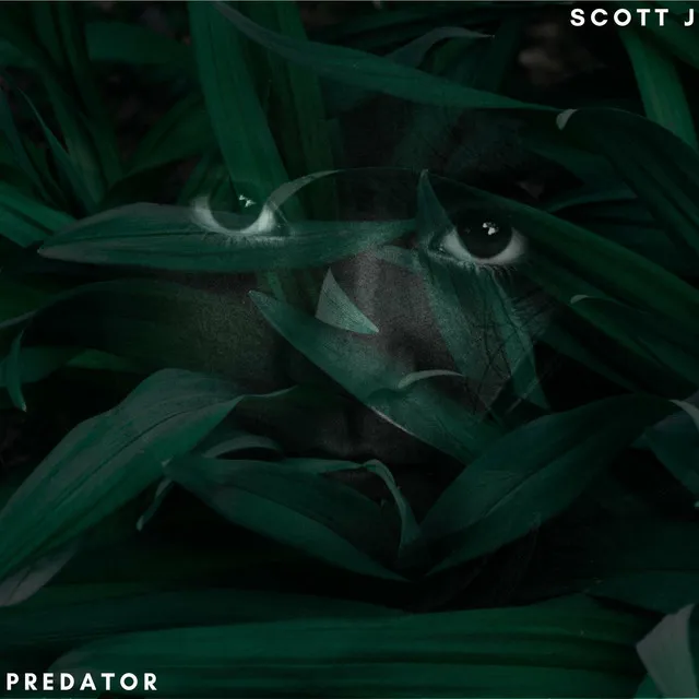 Predator