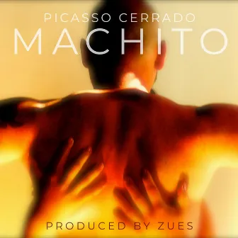 Machito by Picasso Cerrado