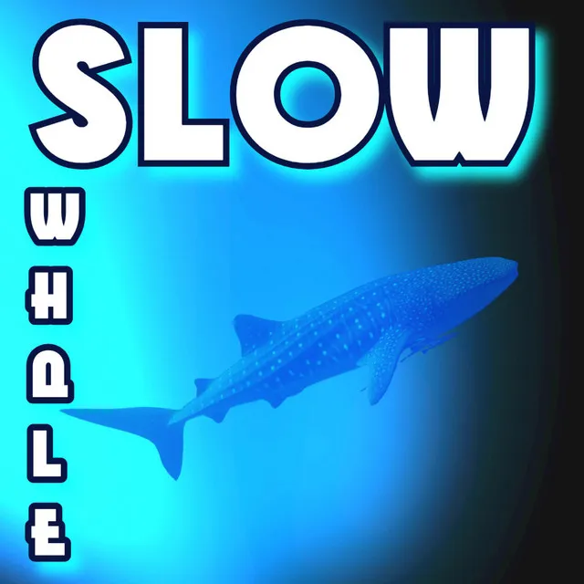 Slow Whale