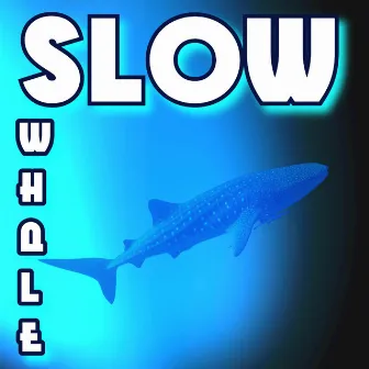 Slow Whale by Brent Halfyard