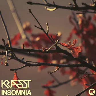 Insomnia by Kraedt