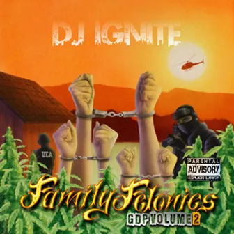 Family Felonies Gdp Volume 2 by Dj Ignite