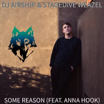 Some Reason by Stagedive Weazel