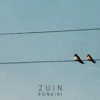 Rondini by Zuin