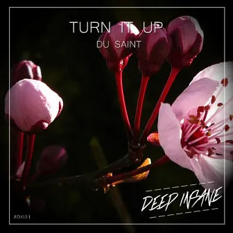 Turn It Up by Du Saint