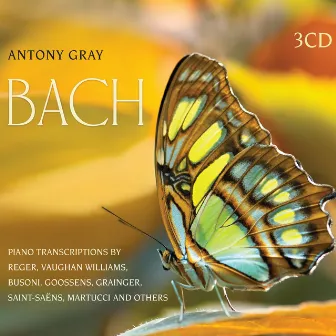 Bach Piano Transcriptions by Antony Gray