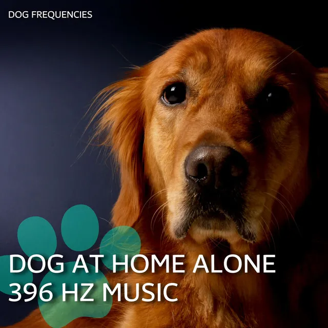 Dog at Home Alone 396 Hz Music