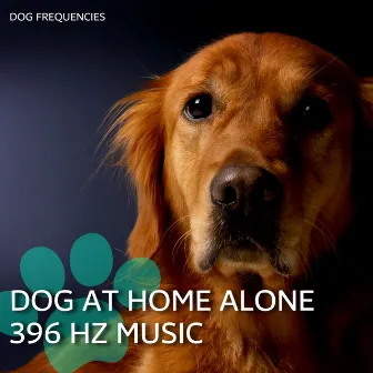 Dog at Home Alone 396 Hz Music by Dog Therapy Zone