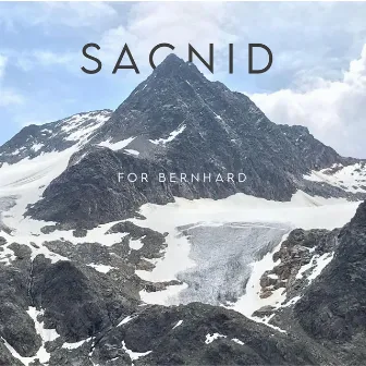 For Bernhard by Sacnid