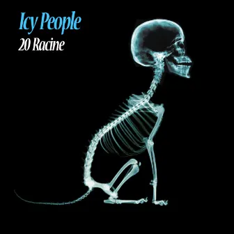 Icy People by Unknown Artist