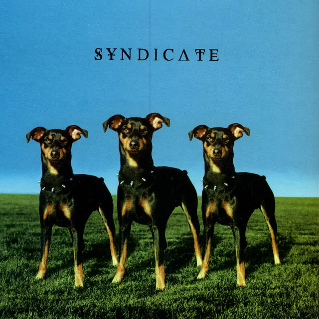 Syndicate