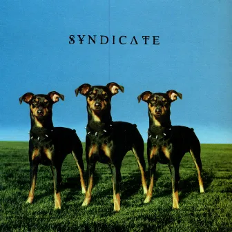 Syndicate by Syndicate