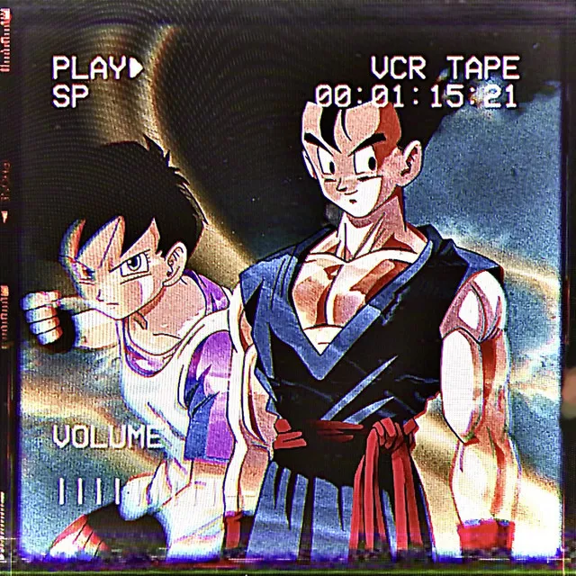 Videl e Gohan