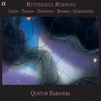 Mysterious Morning by Quatuor Habanera