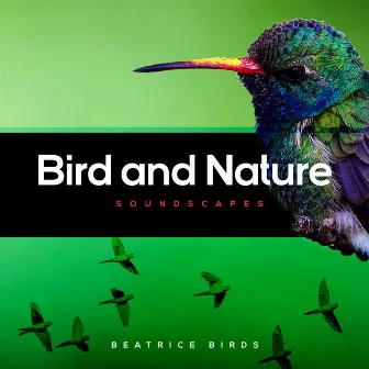 Bird and Nature Soundscapes by Beatrice Birds