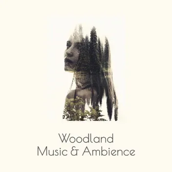 Woodland Music & Ambience: Relaxing Sounds of Forest, Best Sleep Music, Relaxing Study, Relax Session by Forest Hills Music Universe