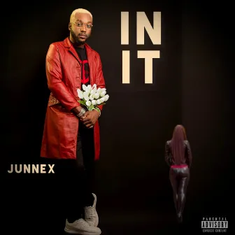 IN IT by Junnex