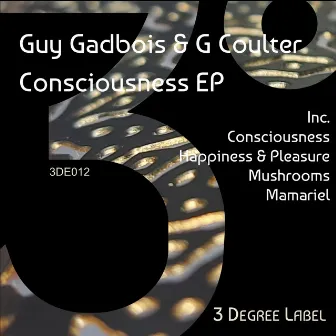 Consciousness by G Coulter