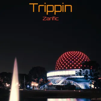 Trippin by Zarific