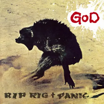 God by Rip Rig & Panic