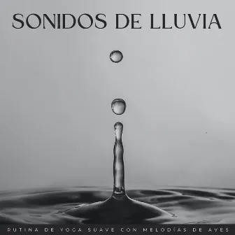 Sonidos De Lluvia: Rutina De Yoga Suave Con Melodías De Aves by Canciones de animales y pájaros