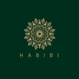 Habibi by Hamza Zaidi