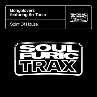 Spirit Of House (feat. An-Tonic) by Bongoloverz