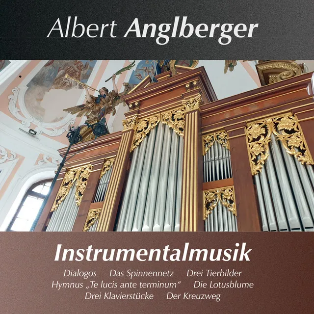 Instrumentalmusik